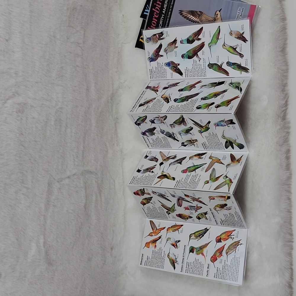 Quick Reference Hummingbirds Raptors Waterfowl Shorebirds of North America - Picture 7 of 7